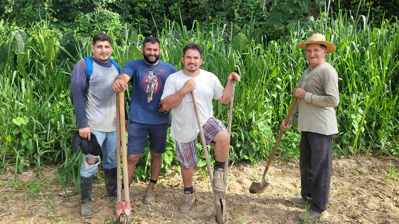 Plantando árboles